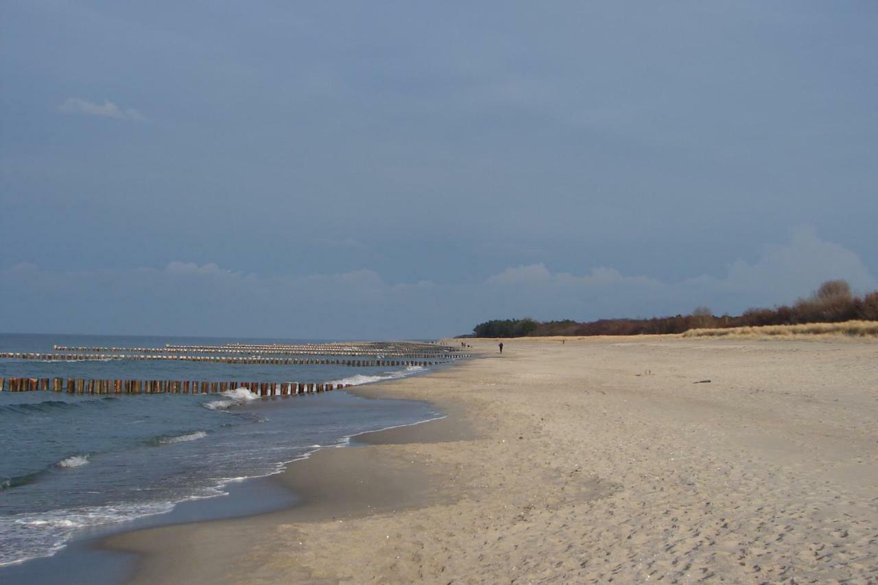 Ferienwohnung Am Strand 징스트 외부 사진