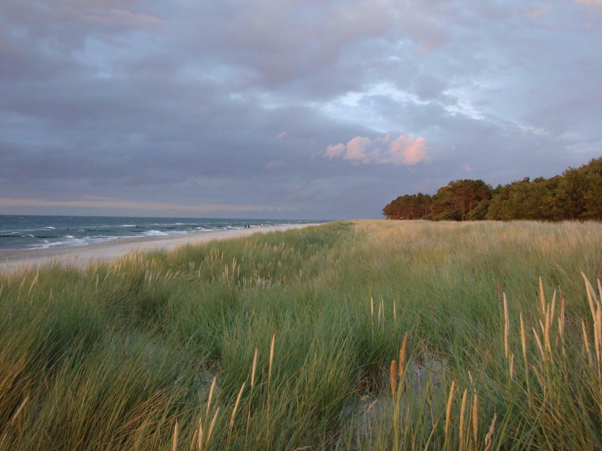 Ferienwohnung Am Strand 징스트 외부 사진